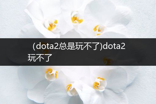 （dota2总是玩不了)dota2 玩不了