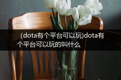 （dota有个平台可以玩)dota有个平台可以玩的叫什么