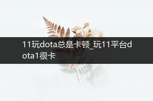 11玩dota总是卡顿_玩11平台dota1很卡