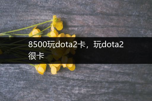 8500玩dota2卡，玩dota2很卡