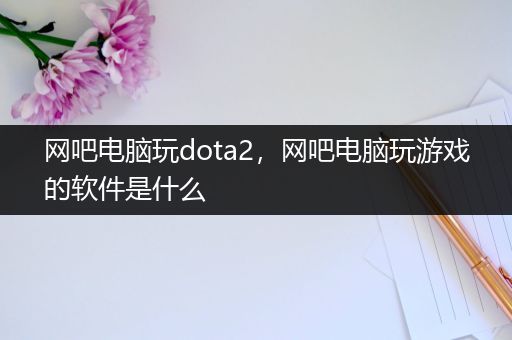 网吧电脑玩dota2，网吧电脑玩游戏的软件是什么