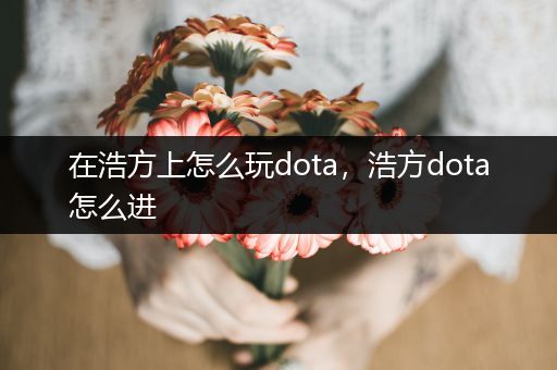 在浩方上怎么玩dota，浩方dota怎么进