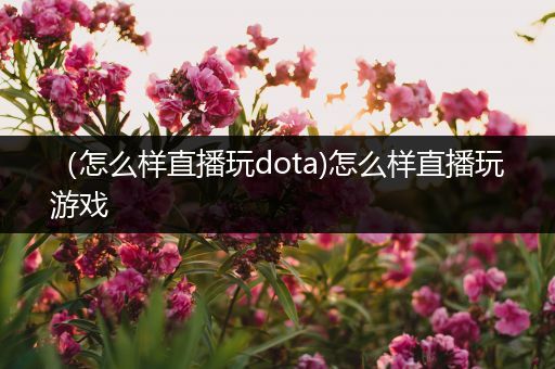 （怎么样直播玩dota)怎么样直播玩游戏
