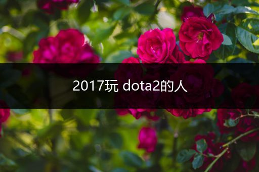 2017玩 dota2的人