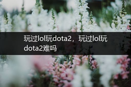 玩过lol玩dota2，玩过lol玩dota2难吗