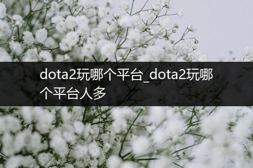 dota2玩哪个平台_dota2玩哪个平台人多