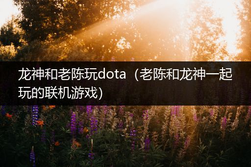 龙神和老陈玩dota（老陈和龙神一起玩的联机游戏）