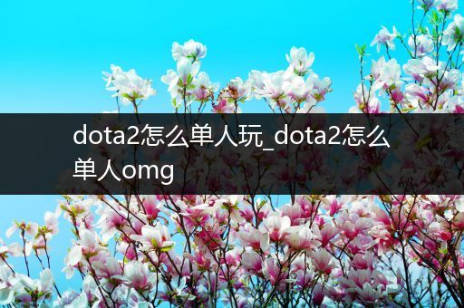 dota2怎么单人玩_dota2怎么单人omg