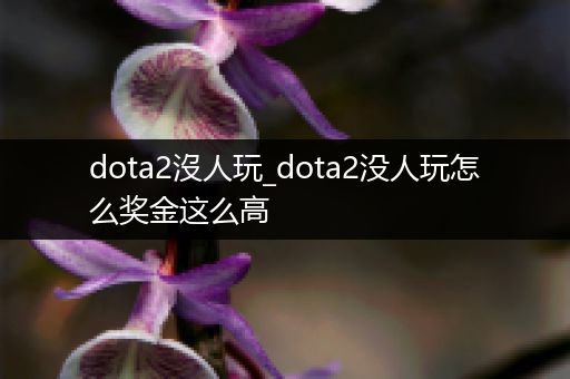 dota2沒人玩_dota2没人玩怎么奖金这么高