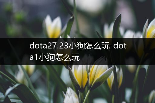 dota27.23小狗怎么玩-dota1小狗怎么玩