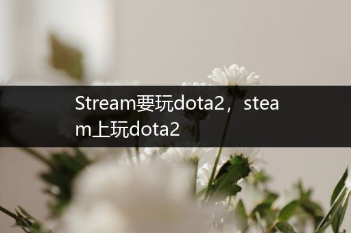 Stream要玩dota2，steam上玩dota2