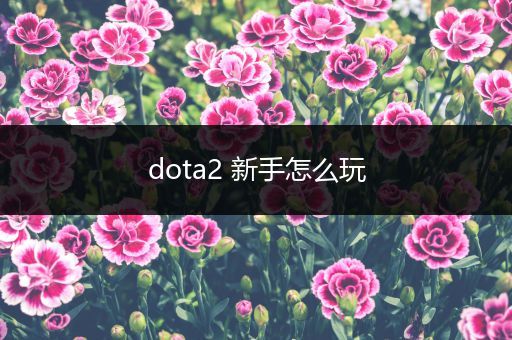 dota2 新手怎么玩