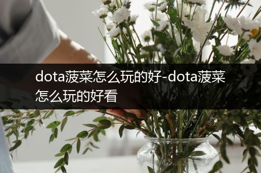 dota菠菜怎么玩的好-dota菠菜怎么玩的好看