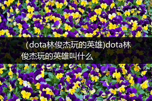 （dota林俊杰玩的英雄)dota林俊杰玩的英雄叫什么