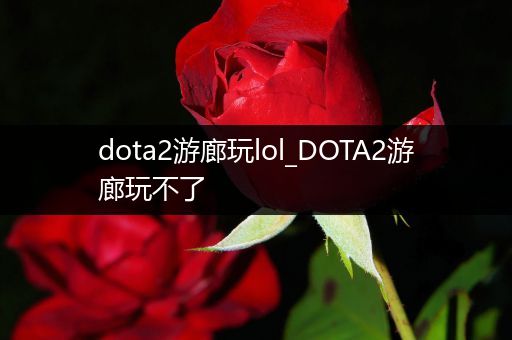 dota2游廊玩lol_DOTA2游廊玩不了
