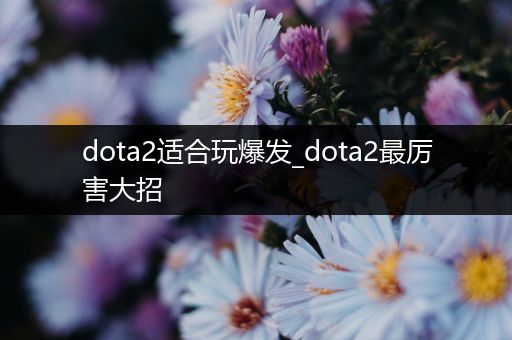 dota2适合玩爆发_dota2最厉害大招