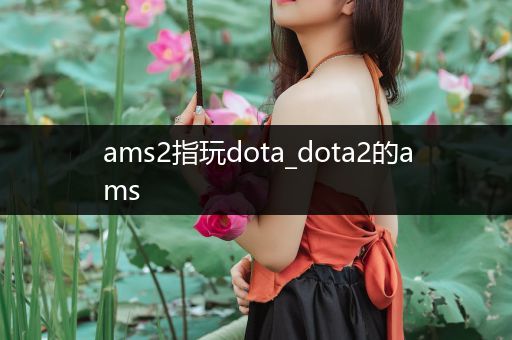 ams2指玩dota_dota2的ams