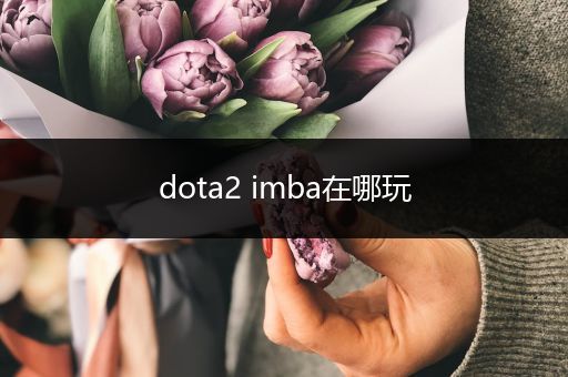 dota2 imba在哪玩