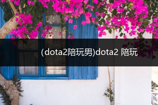 （dota2陪玩男)dota2 陪玩