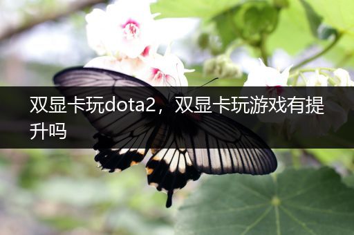 双显卡玩dota2，双显卡玩游戏有提升吗