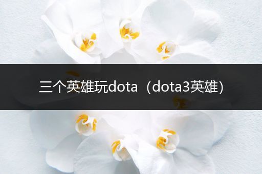 三个英雄玩dota（dota3英雄）