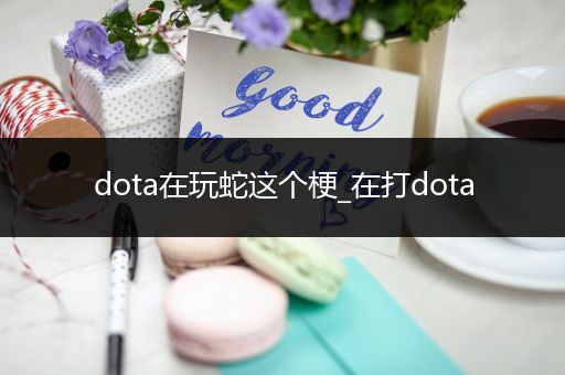 dota在玩蛇这个梗_在打dota
