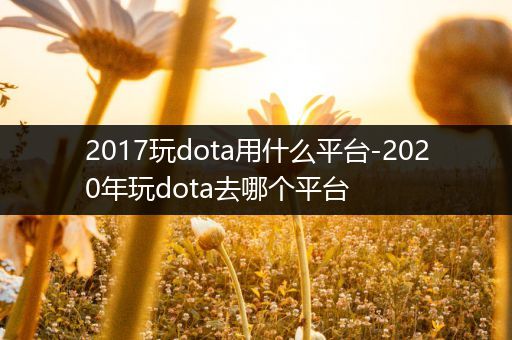 2017玩dota用什么平台-2020年玩dota去哪个平台