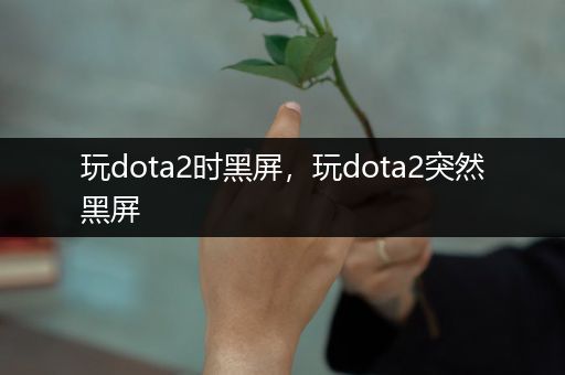 玩dota2时黑屏，玩dota2突然黑屏