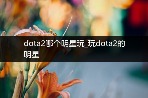 dota2哪个明星玩_玩dota2的明星