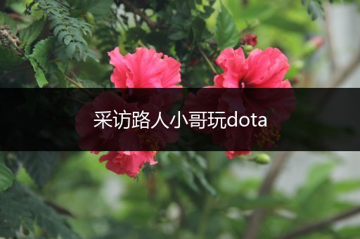 采访路人小哥玩dota