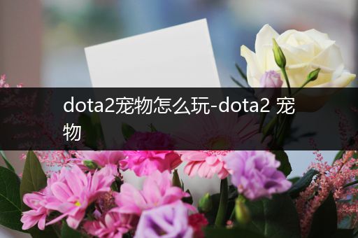 dota2宠物怎么玩-dota2 宠物