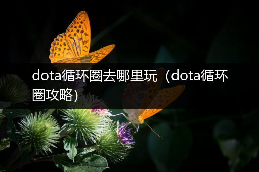 dota循环圈去哪里玩（dota循环圈攻略）