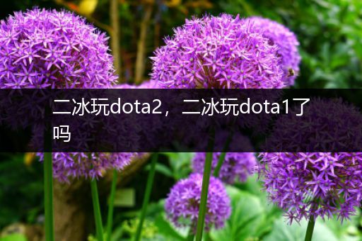 二冰玩dota2，二冰玩dota1了吗