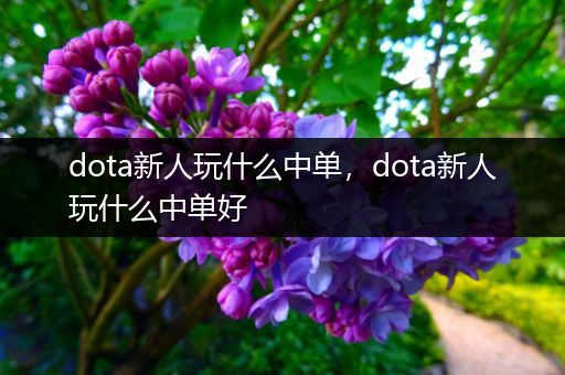 dota新人玩什么中单，dota新人玩什么中单好