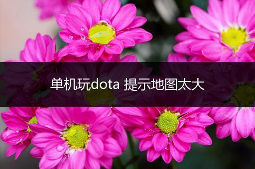 单机玩dota 提示地图太大