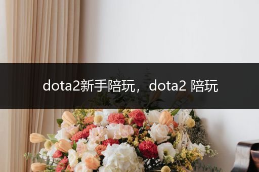 dota2新手陪玩，dota2 陪玩