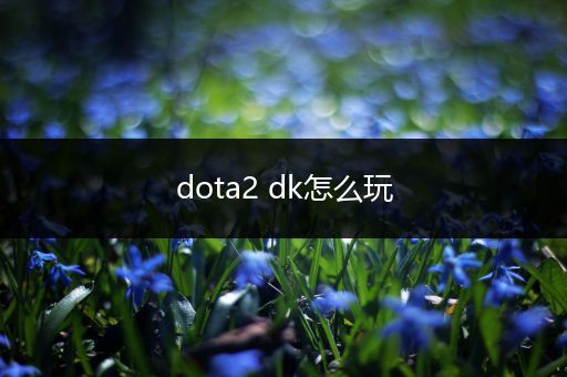 dota2 dk怎么玩