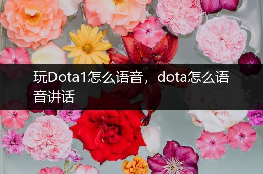 玩Dota1怎么语音，dota怎么语音讲话