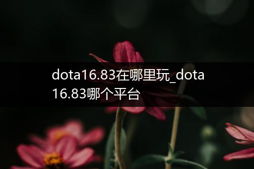 dota16.83在哪里玩_dota16.83哪个平台