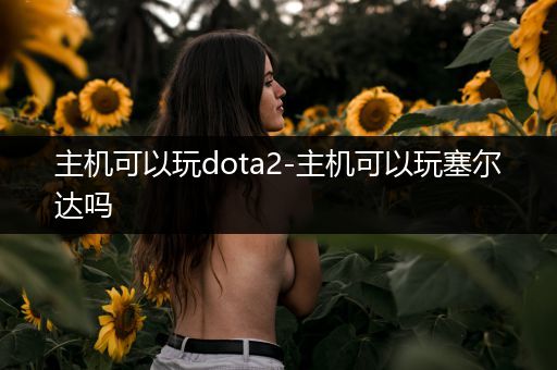 主机可以玩dota2-主机可以玩塞尔达吗