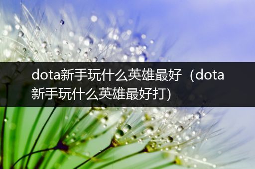 dota新手玩什么英雄最好（dota新手玩什么英雄最好打）