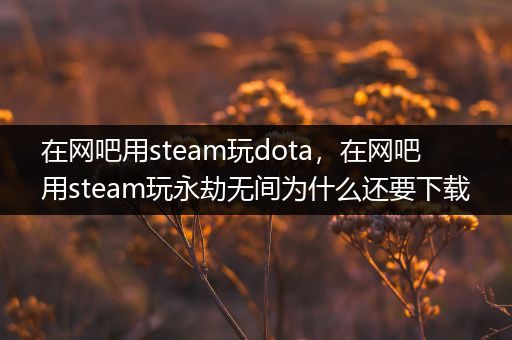 在网吧用steam玩dota，在网吧用steam玩永劫无间为什么还要下载