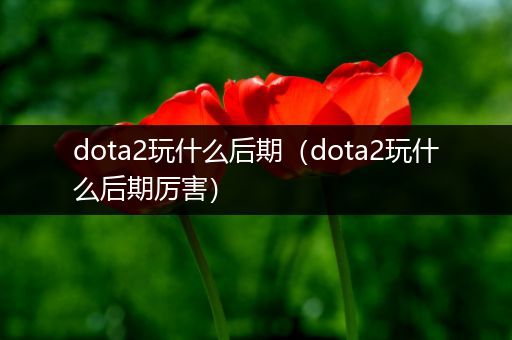 dota2玩什么后期（dota2玩什么后期厉害）