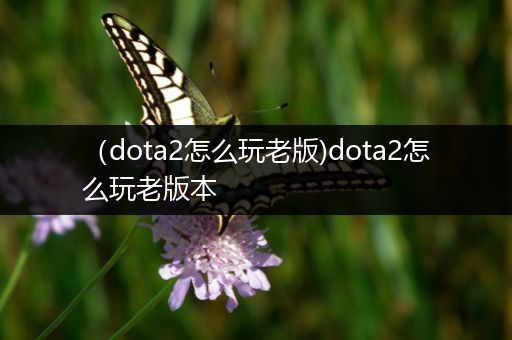 （dota2怎么玩老版)dota2怎么玩老版本