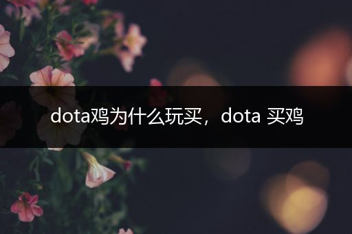 dota鸡为什么玩买，dota 买鸡