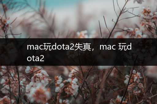 mac玩dota2失真，mac 玩dota2