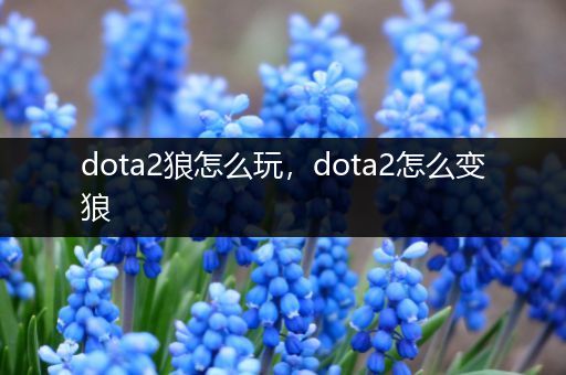 dota2狼怎么玩，dota2怎么变狼