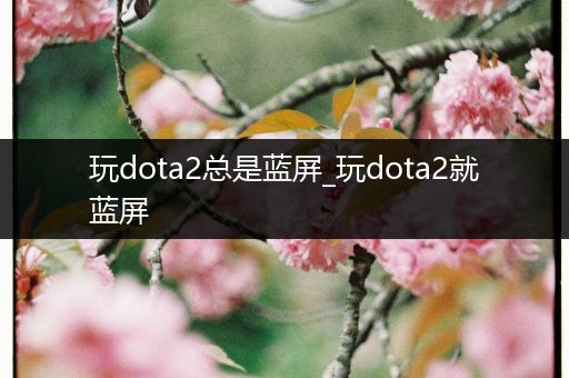 玩dota2总是蓝屏_玩dota2就蓝屏