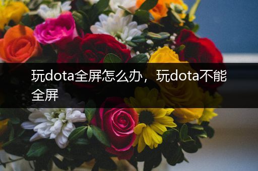 玩dota全屏怎么办，玩dota不能全屏