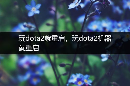 玩dota2就重启，玩dota2机器就重启